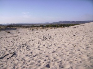 Le dune di Teulada 1