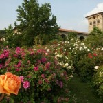 Labirinto di rose nel Palazzo Quistini