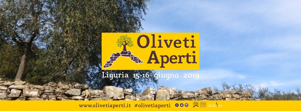 oliveti aperti